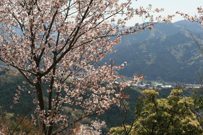 山頂からの眺め、気持ちいい！