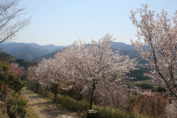 地元の方々が頑張って整備してくれました