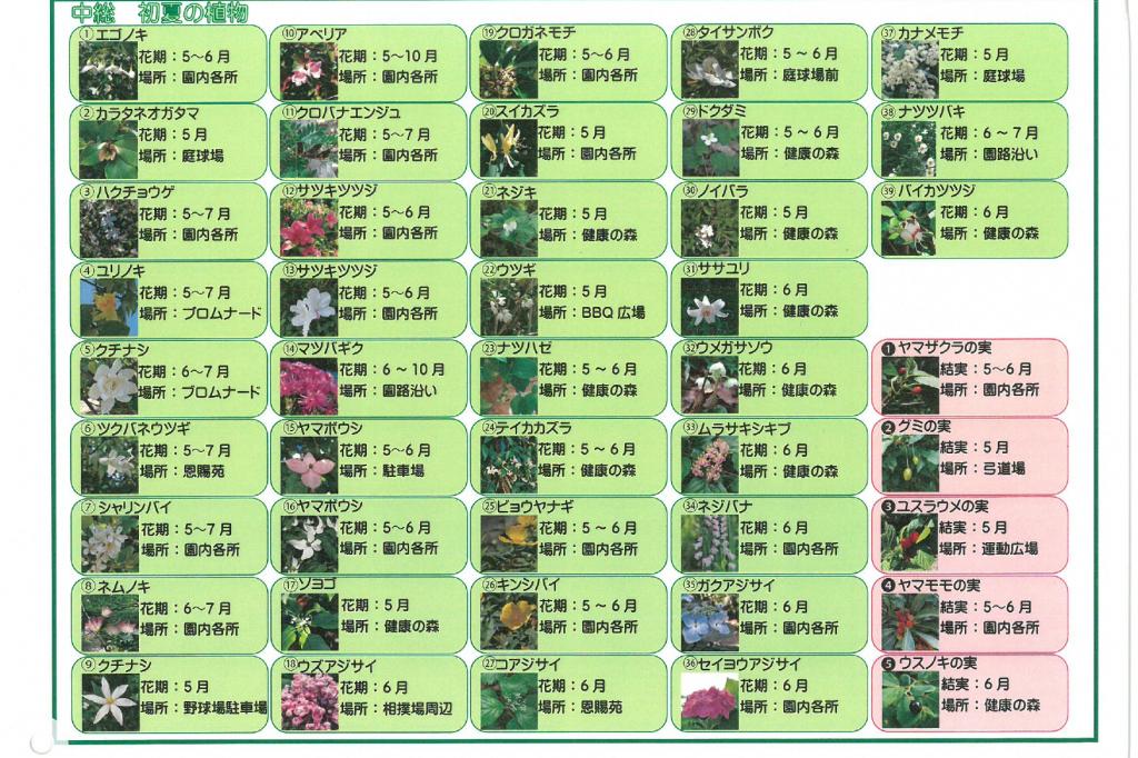 園内花ごよみマップ初夏　②