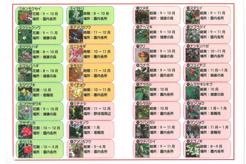 園内花ごよみマップ秋冬　②