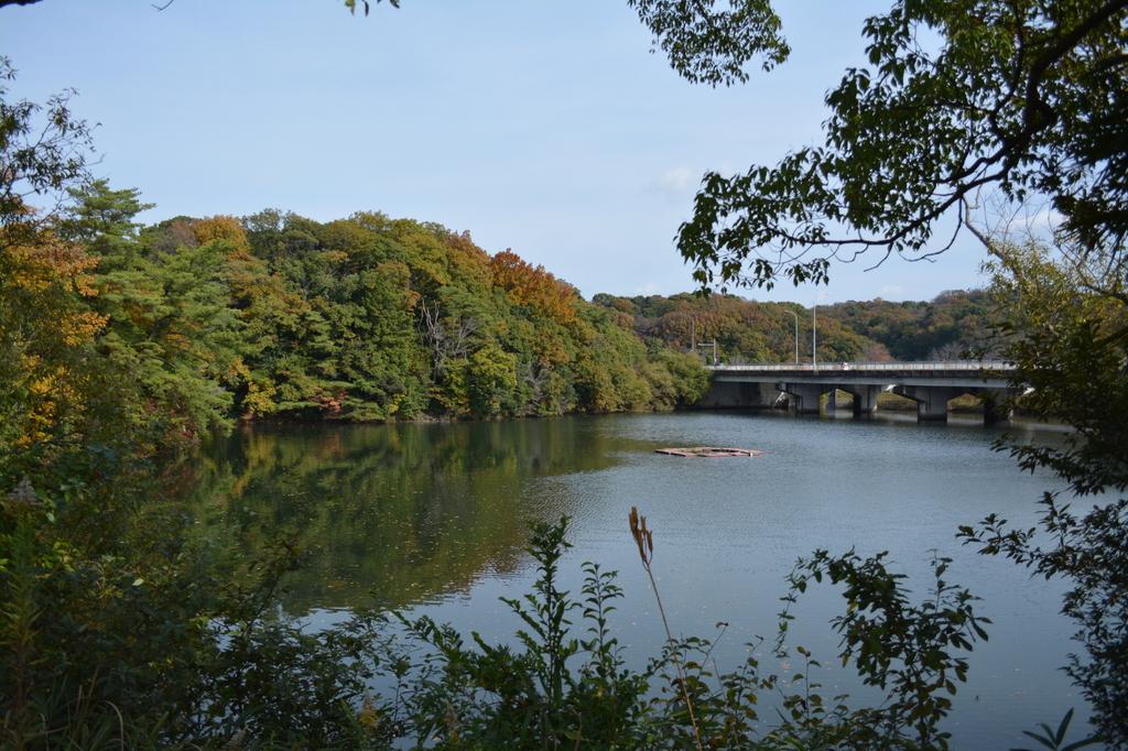 大谷公園キャンプ場 岡崎の観光スポット 岡崎おでかけナビ 岡崎市観光協会公式サイト