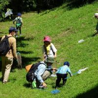 2025年「夏の虫を探そう／森の教室」　※抽選申し込み