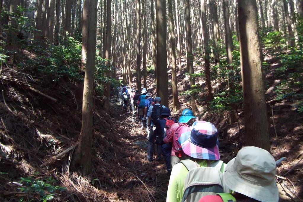 まずが緩やかな山道を進みます