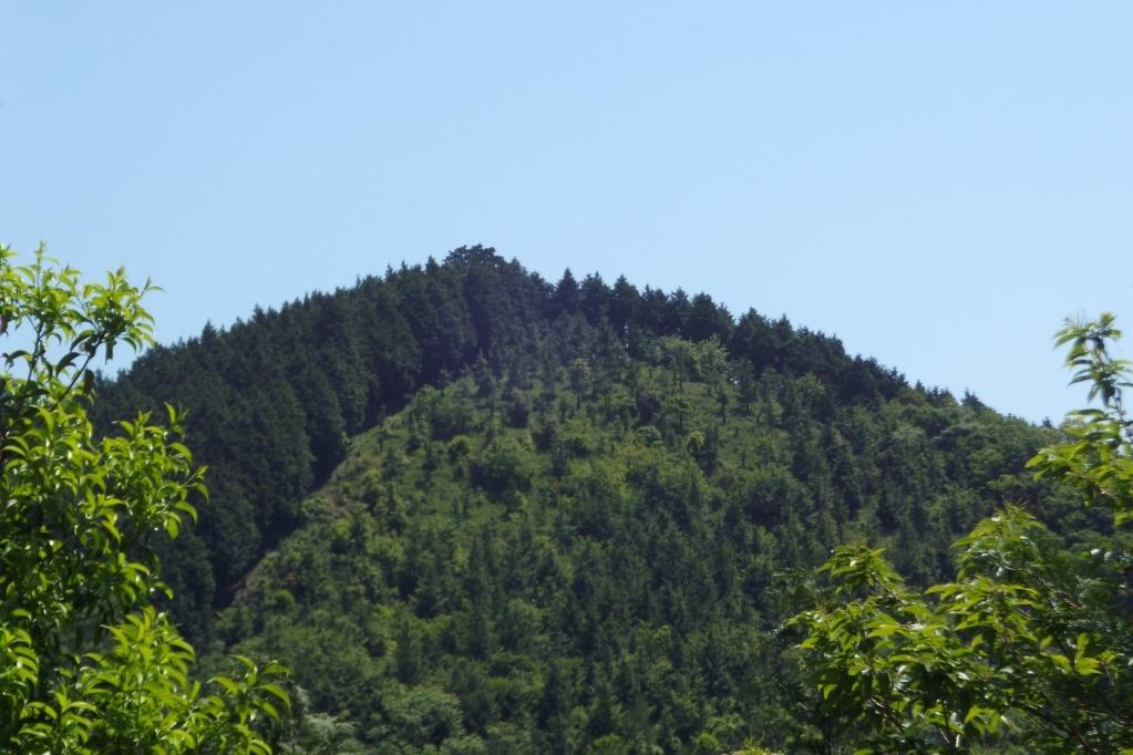 音羽富士山頂。急な坂を登ります