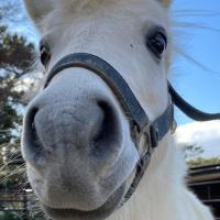 くらべてみよう！「いろんな動物の足（あし）」編【東公園動物園】