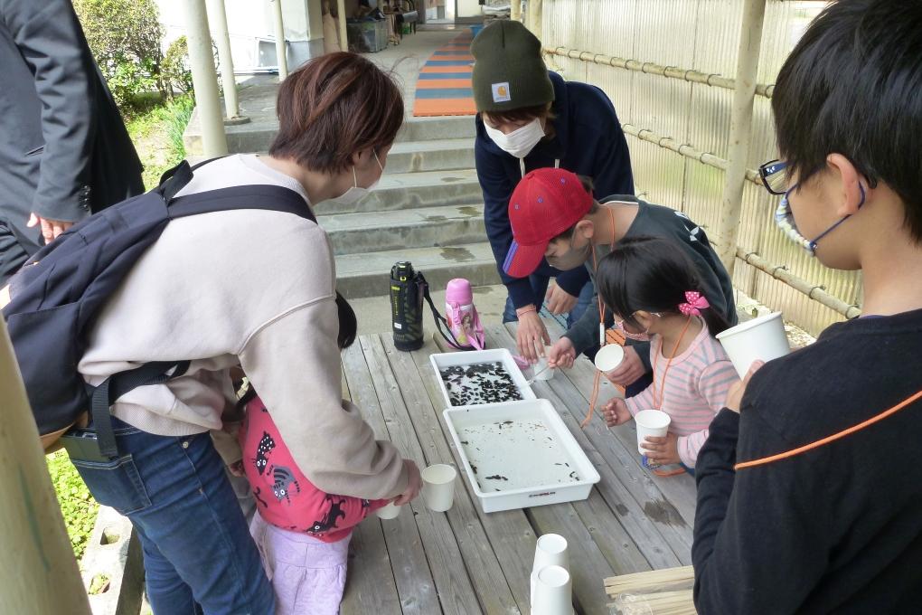 紙コップへ上手に移せるかな