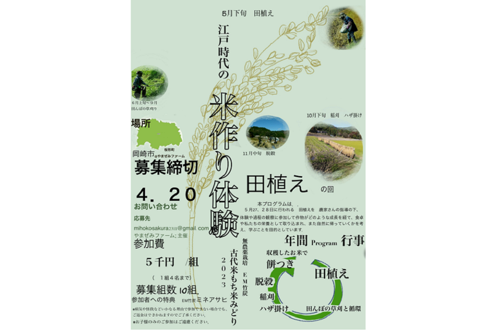 【田植えの回】江戸時代のお米作り体験　2023