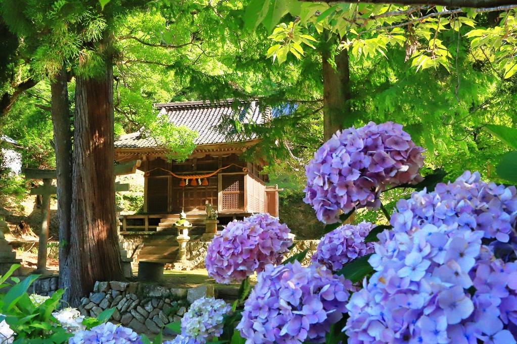 鳥川ホタルまつり