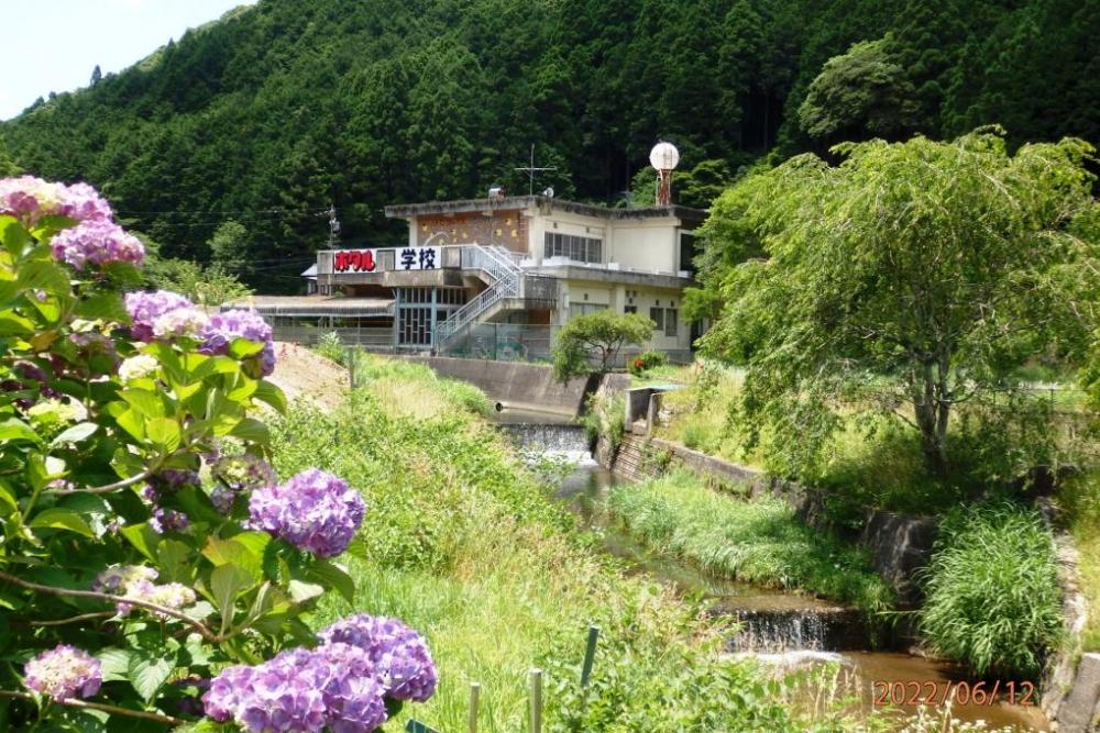 紫陽花もきれいなシーズンです③