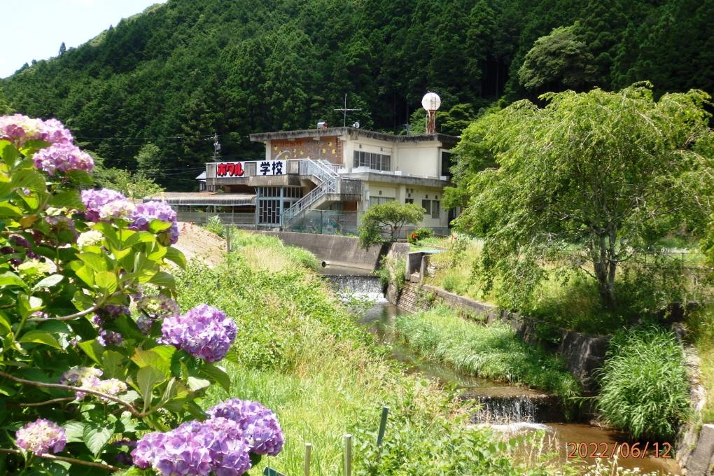 鳥川ホタルまつり