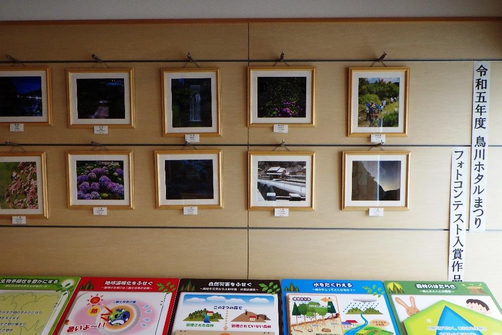 額田センターこもれびかん　展示の様子