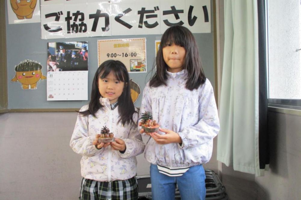 「どんぐりのみなどん」