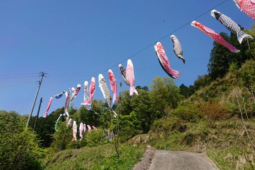 少子化や住宅事情だけじゃなかった…今や“絶滅危惧種”の