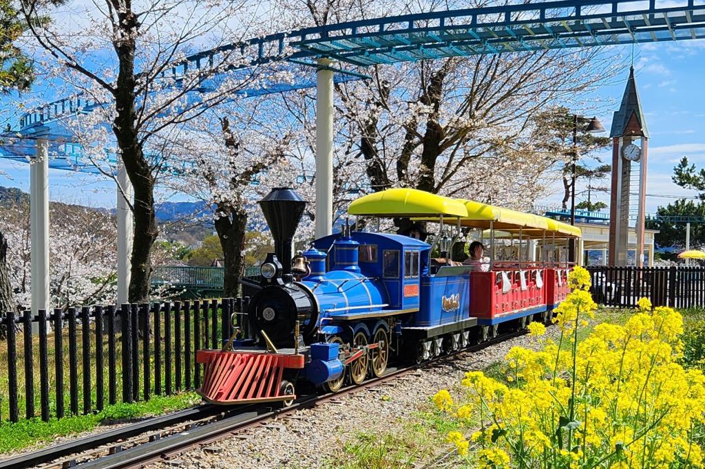 南公園（桜と菜の花）