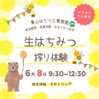 夏山はちべえ養蜂園　生はちみつ搾り体験＊おみやげ付き