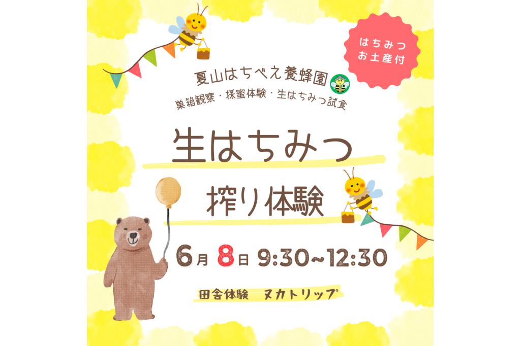 夏山はちべえ養蜂園　生はちみつ搾り体験＊おみやげ付き