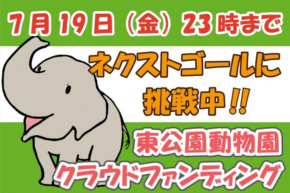 東公園動物園クラウドファンディング挑戦中！