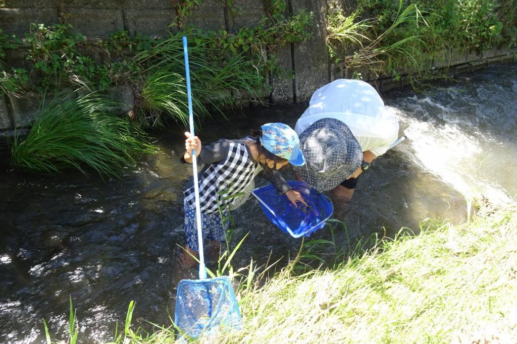 ホタルの川の生き物調査隊！