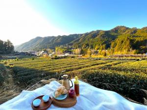 景色をひとりじめ　茶畑ピクニック