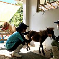 獣医師体験【東公園動物園】