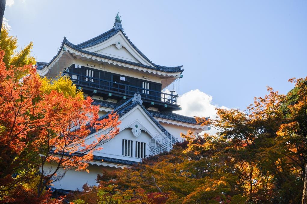 公園紅葉フォトコンテスト