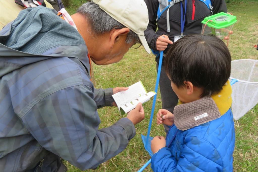 この生きものの名前は？先生と図鑑で調べてみよう