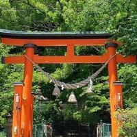 徳川家康公を辿るコース　～車でめぐる編③～