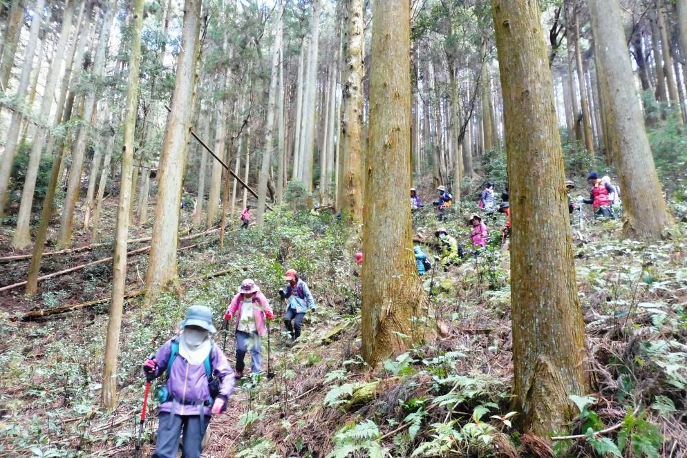 愛宕山トレッキングの様子