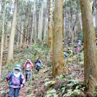オクオカ「愛宕山」トレッキング