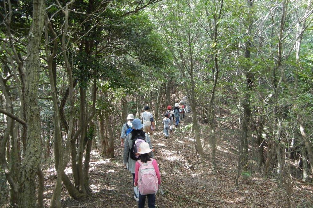 明るい広葉樹林も変化があって面白いです。