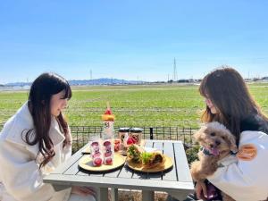 【ワンダフルドライブ in 岡崎】愛犬と楽しむ岡崎観光！おすすめスポット5選