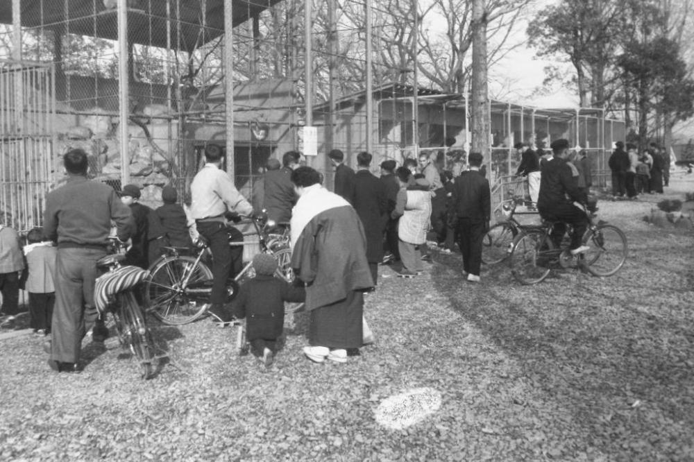 写真「小動物園」岡崎市立中央図書館蔵