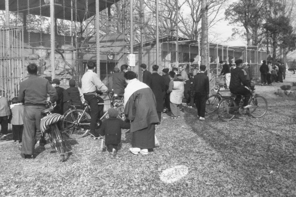 写真「小動物園」岡崎市立中央図書館蔵