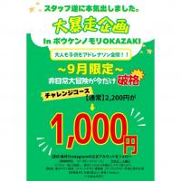 大暴走企画 in ボウケンノモリOKAZAKI