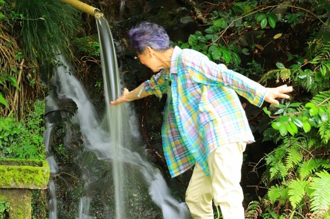 準特選(中日新聞社賞) 『産湯の滝』 下川清光