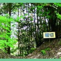 日近城跡周遊コース①