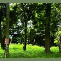 山中城跡周遊コース①