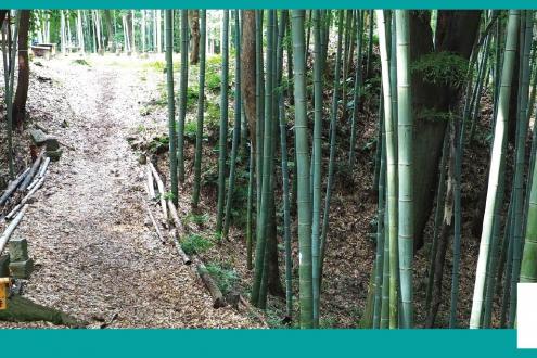 岩津城跡周遊コース