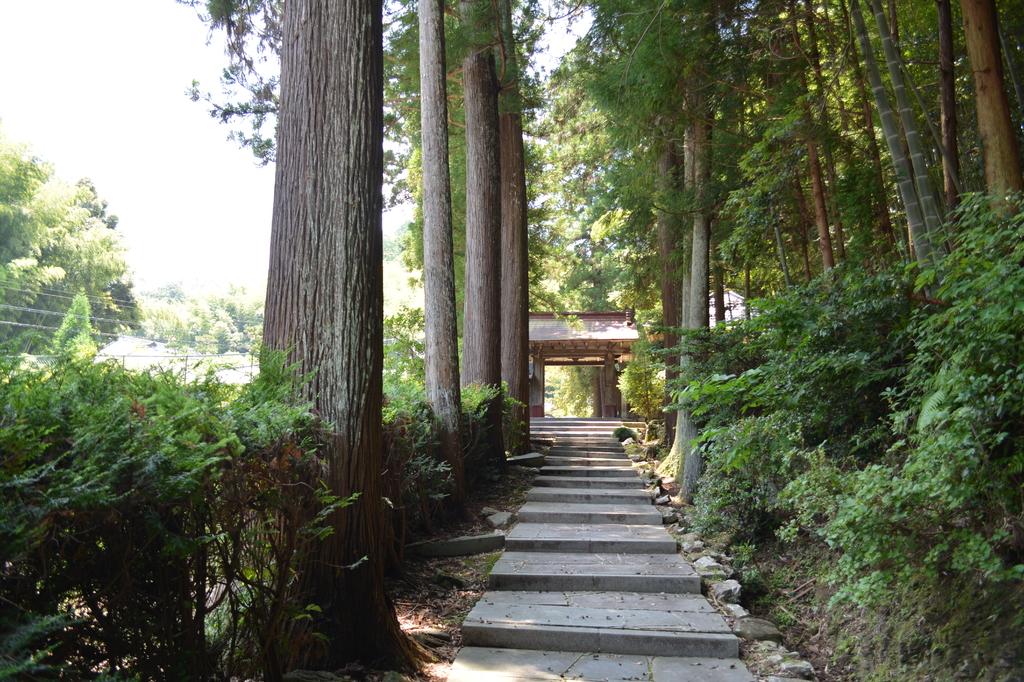 龍渓院・杉木立