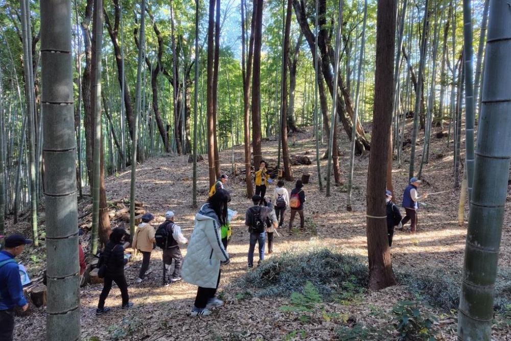 櫓台や空堀に囲まれた馬出