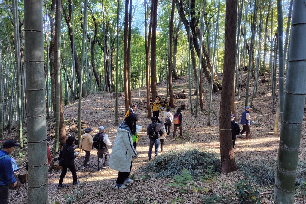 櫓台や空堀に囲まれた馬出