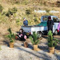 門松作り（三尺門松）／森のこだま（炭焼きの会）　※定員に達しました