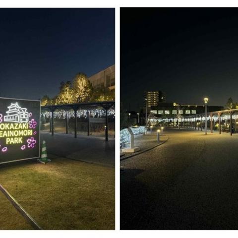 おかえきイルミネーション2025