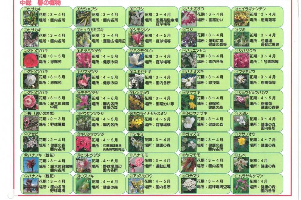 花ごよみＭＡＰ春　②