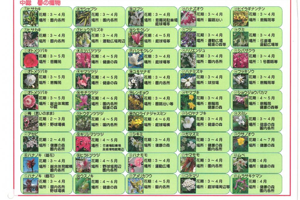 花ごよみＭＡＰ春　②