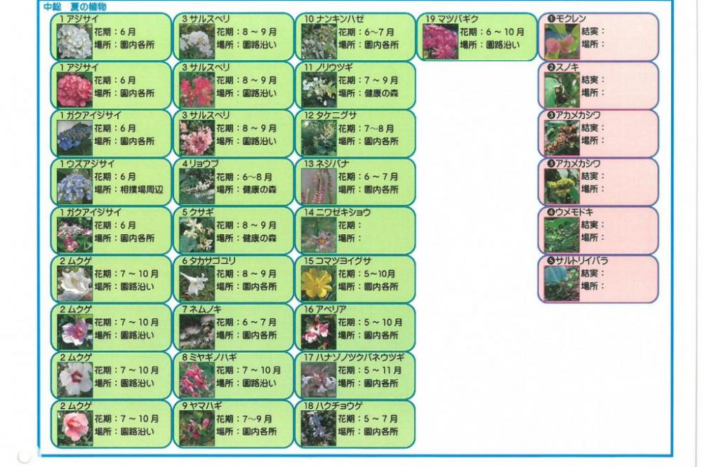 園内花ごよみマップ夏　②