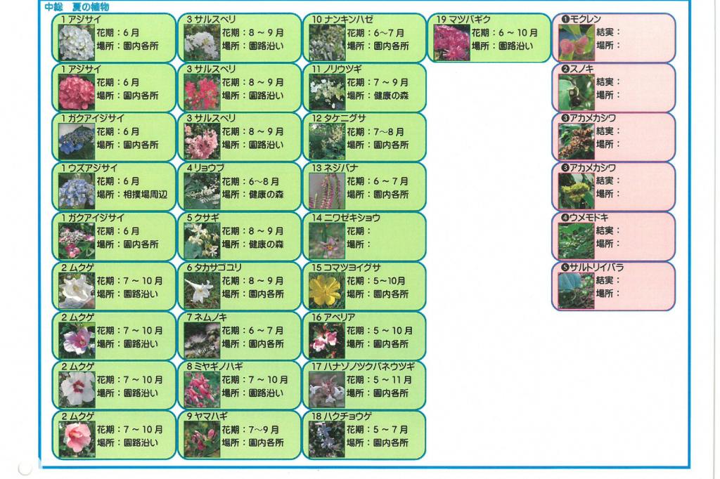 園内花ごよみマップ夏　②