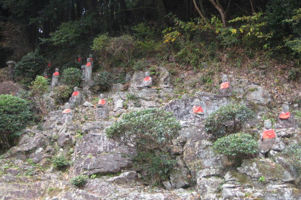 龍渓院・杉木立