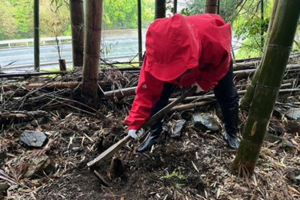 オクオカでタケノコ掘り体験！