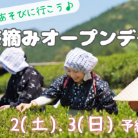茶摘みオープンデー